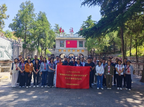 图片4